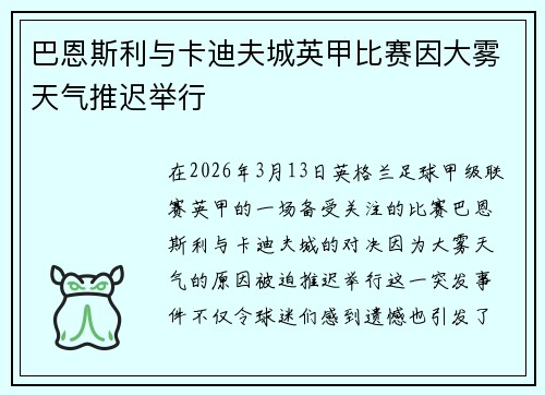 巴恩斯利与卡迪夫城英甲比赛因大雾天气推迟举行